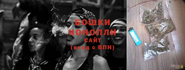 амф Липки