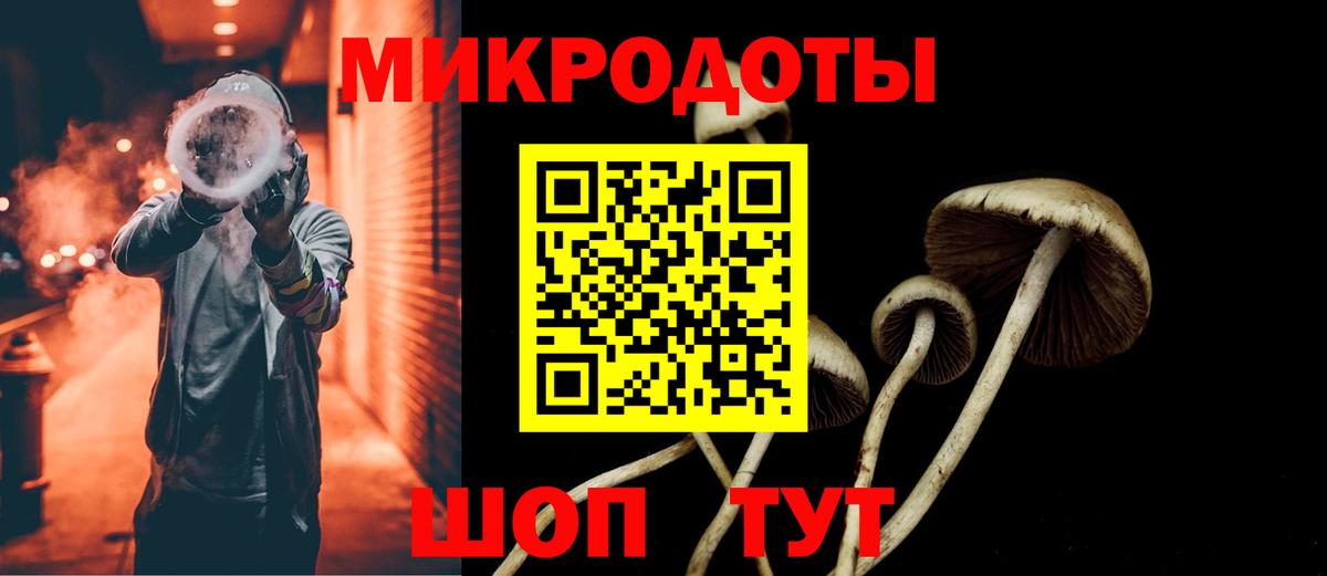 Псилоцибиновые грибы Psilocybe Ковров