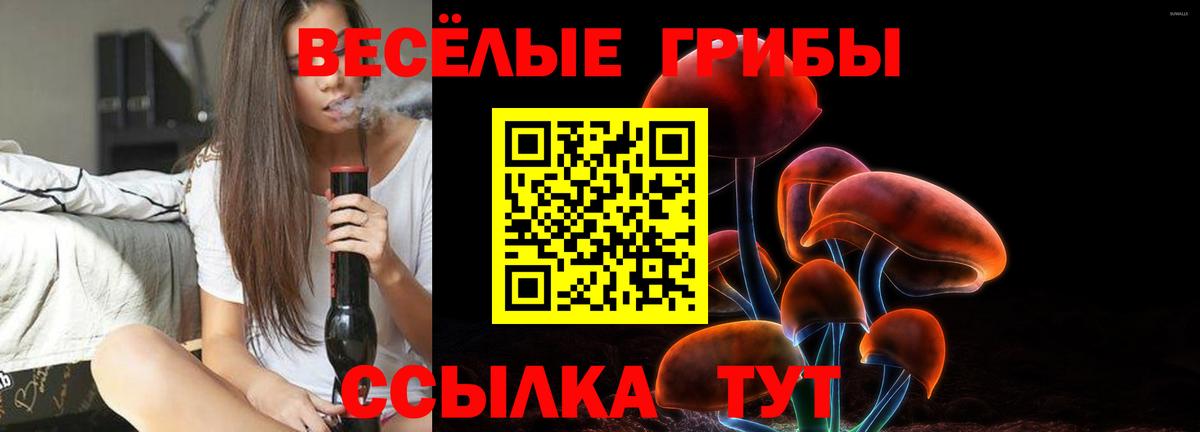 Галлюциногенные грибы MAGIC MUSHROOMS  Галлюциногенные грибы Cubensis  Вход с VPN  Ковров 