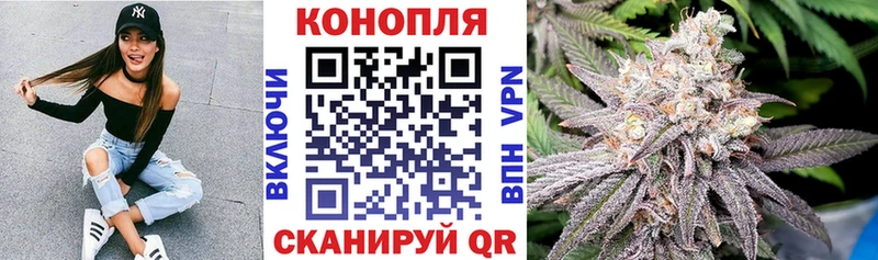 мориарти официальный сайт  дарнет шоп  Ковров  Конопля план 